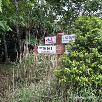 下山は神社の方とは反対に下りました
