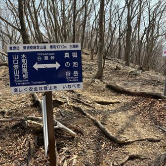 白瀬峠
冬の白瀬峠を思い出す😅