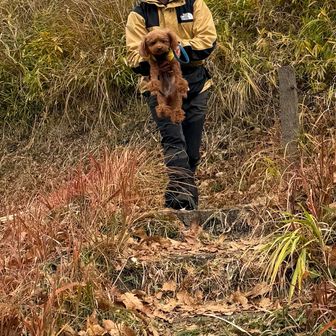 ぬいぐるみかな？part1