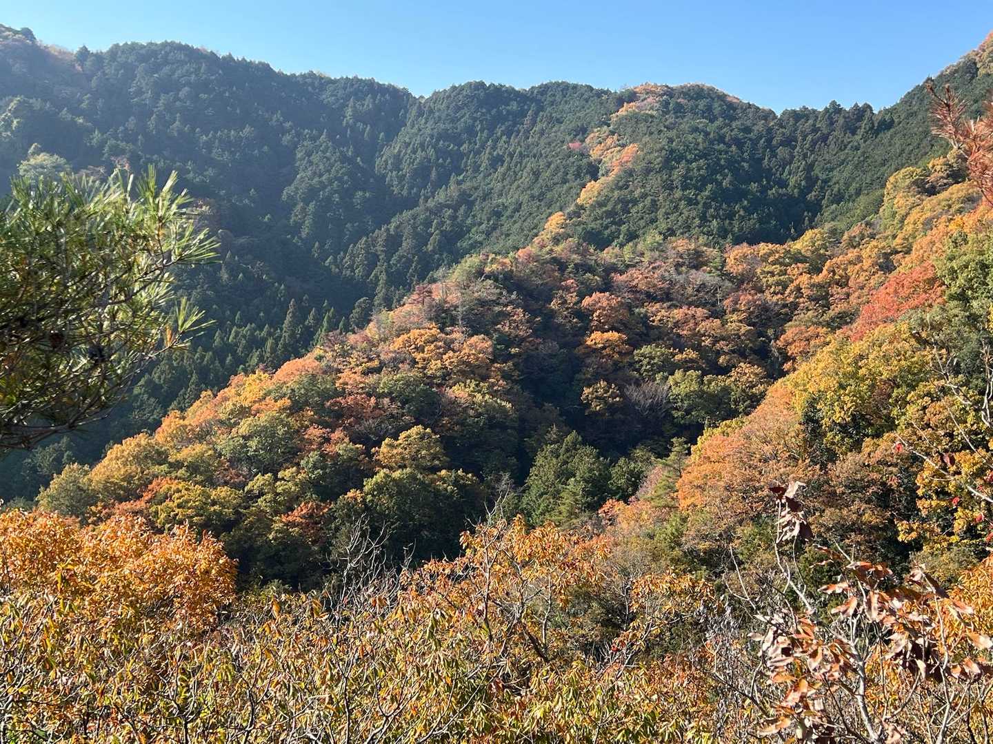 二上山のナメゴ谷(昇竜🐉)も見えます！