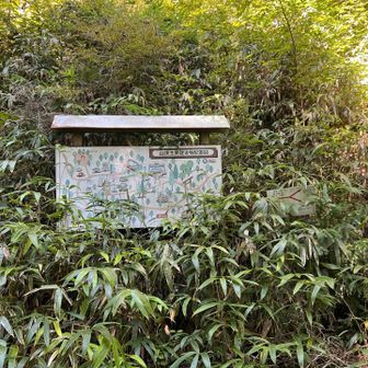 前々写真の15年前の日記にもこの看板が写っています。