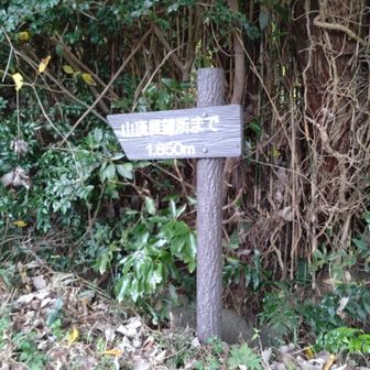 山頂目指して✊
