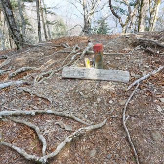 前熊伏山着。
ここで青崩峠からの登山道と合流！
鶏冠山からここまでが長く感じられました😅