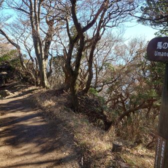 馬の背…どこ？