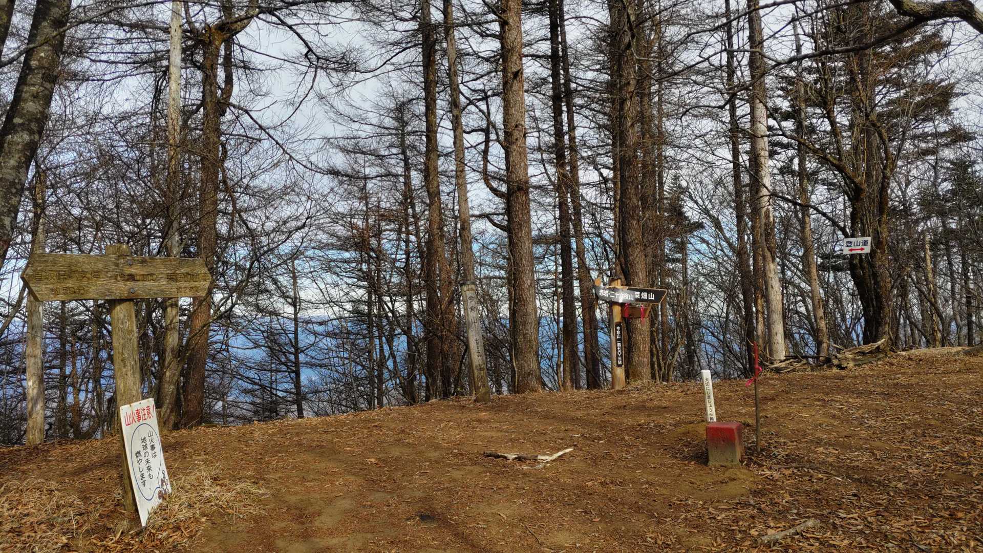 道坂隧道入口バス停-道坂峠-今倉山-松山 周回コースの写真
