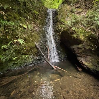 水量少なめ…
水はきれいだけど🤩