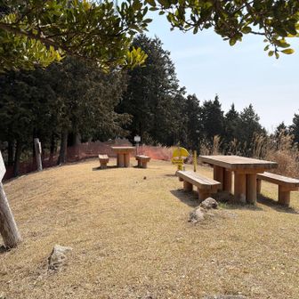 ここで昼食にしようと計画していましたが、直射日光を遮るものがありませんので、やめました。