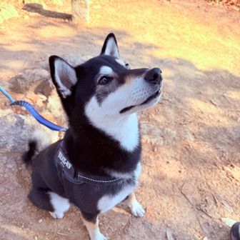 登頂のご褒美待ち