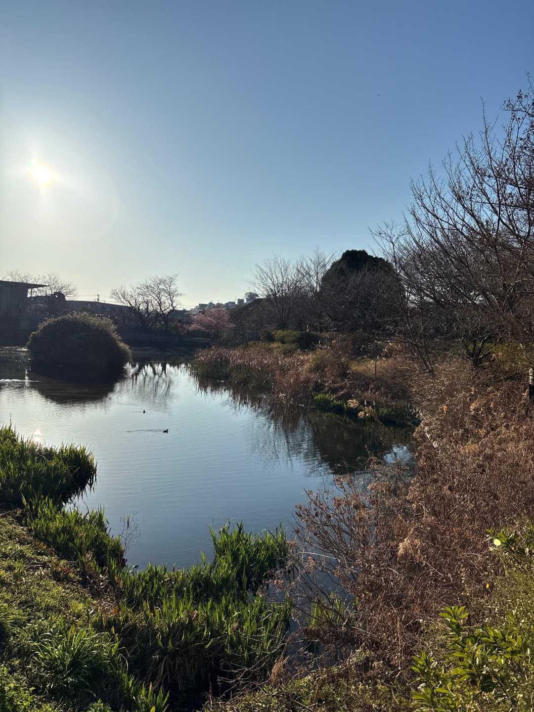 秦野駅-浅間台-八国見山登り口-八国見山-頭高山-渋沢駅 縦走コースの写真