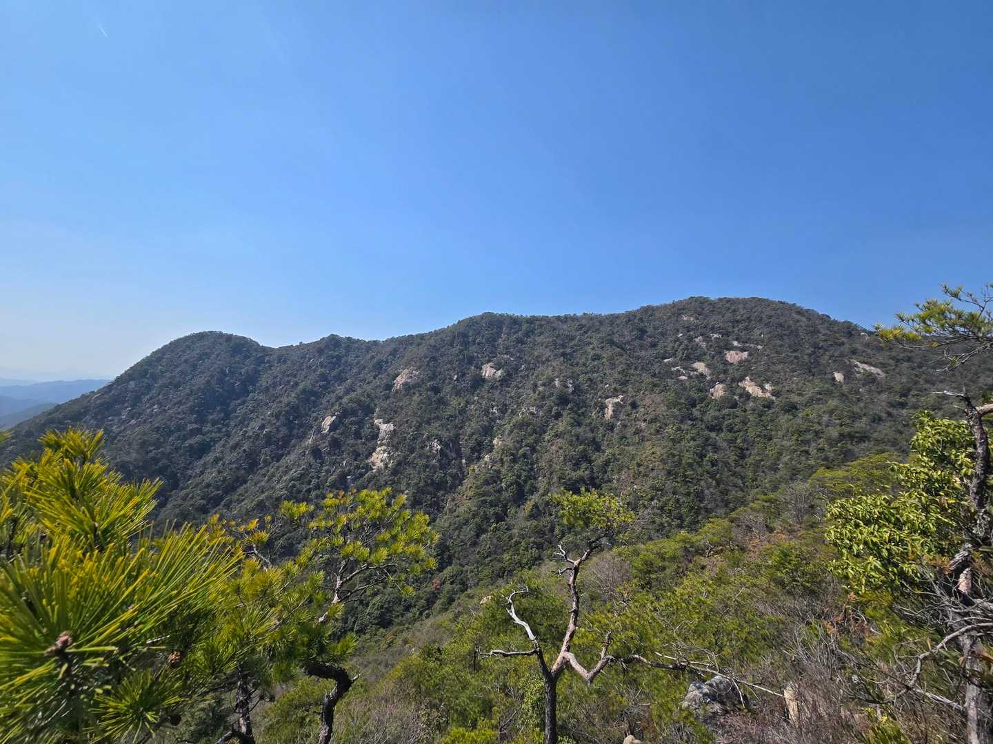 小方行者山-米小屋山-笛吹山-大鉢山-忠四郎山-桜山 周回コースの写真