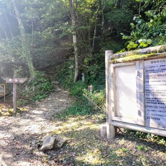 寒風山登山口
木杖あり
