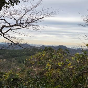 大楠山山頂から三浦アルプス方面
