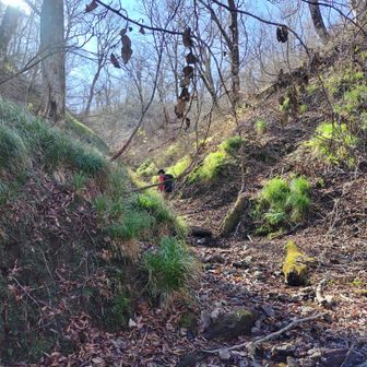 左門岳 溝のような枝谷を登って尾根に出ましょう。