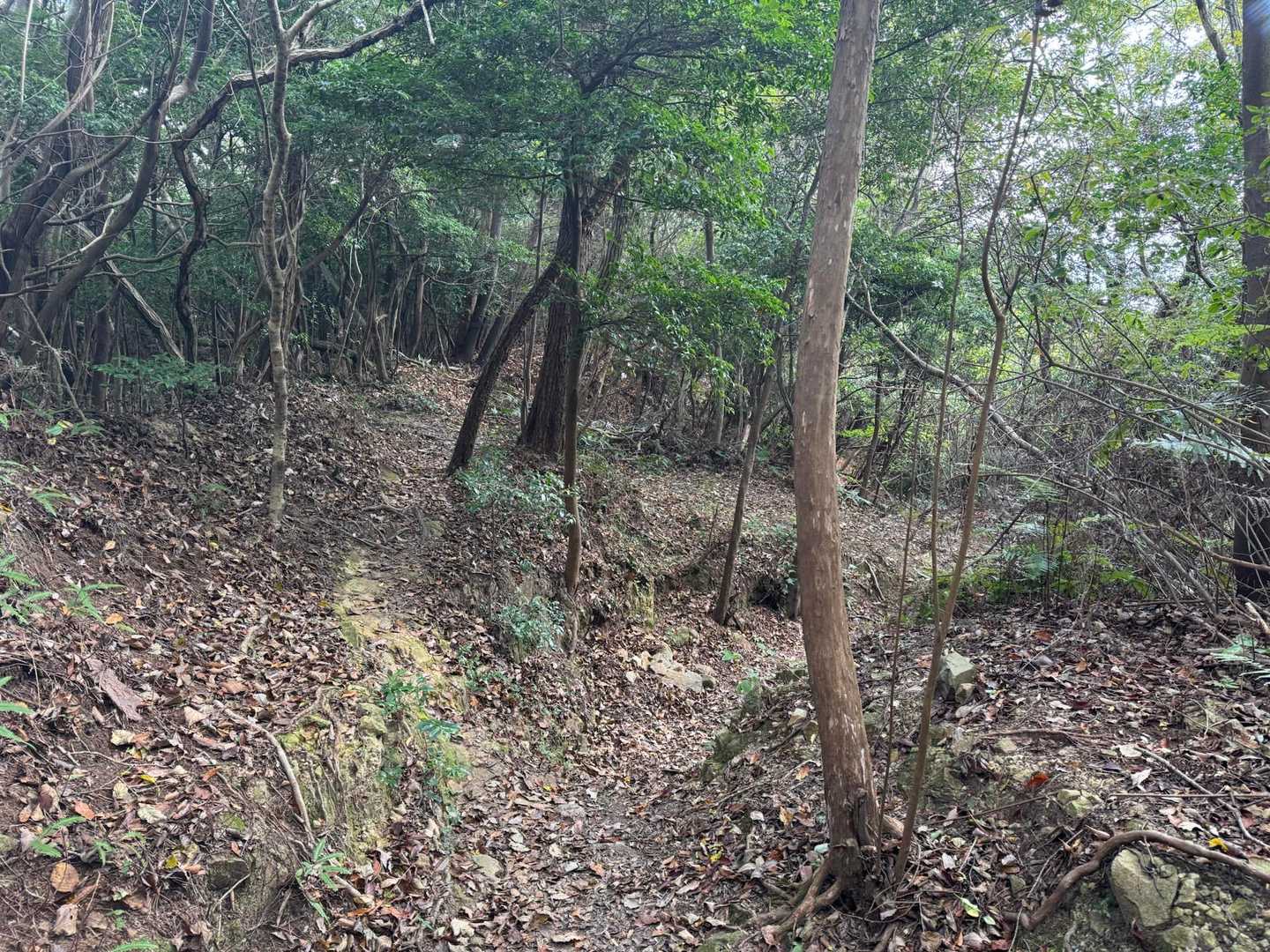 ここは左に進みます。
よく見ないと見逃すかもしれません。
普通に真っ直ぐ進んで戻りましたw