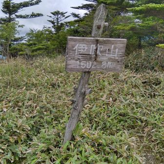 ヤマップのタイムでは２分で到着😂
