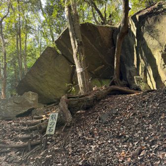 ここの分岐が分かりにくい
枝で塞いだ所を抜けてピンクテープ目印で降りれたけど、あまり歩かれた形跡が少ないのでYAMAPの地図と食い違ってる？