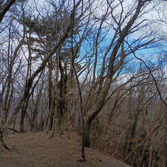 青空と冷たい空気が気持ちいい。登りでは誰とも会わず。山頂貸切でした。手拭い売り切れてないかなあ？息子はソワソワ。