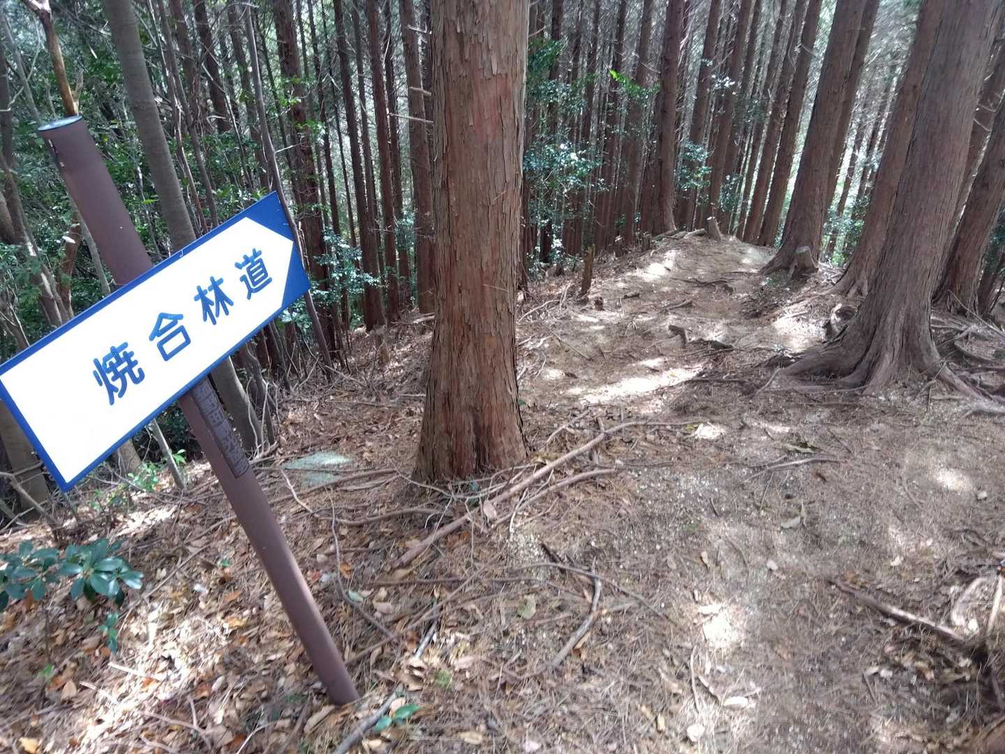 ➡
