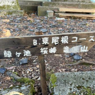 東尾根コースへ