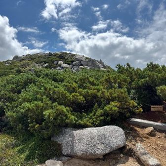 スゴノ頭⛰️
ここから先は立ち入り禁止🚧