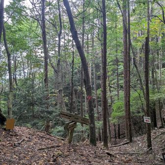 トビス峠に到着、古い標識は「鳶巣峠」と漢字表記されてました。ここから大栃山に向かいます。