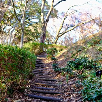 この辺だけ土、他は舗装路