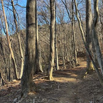 今日は暖かくていい日
