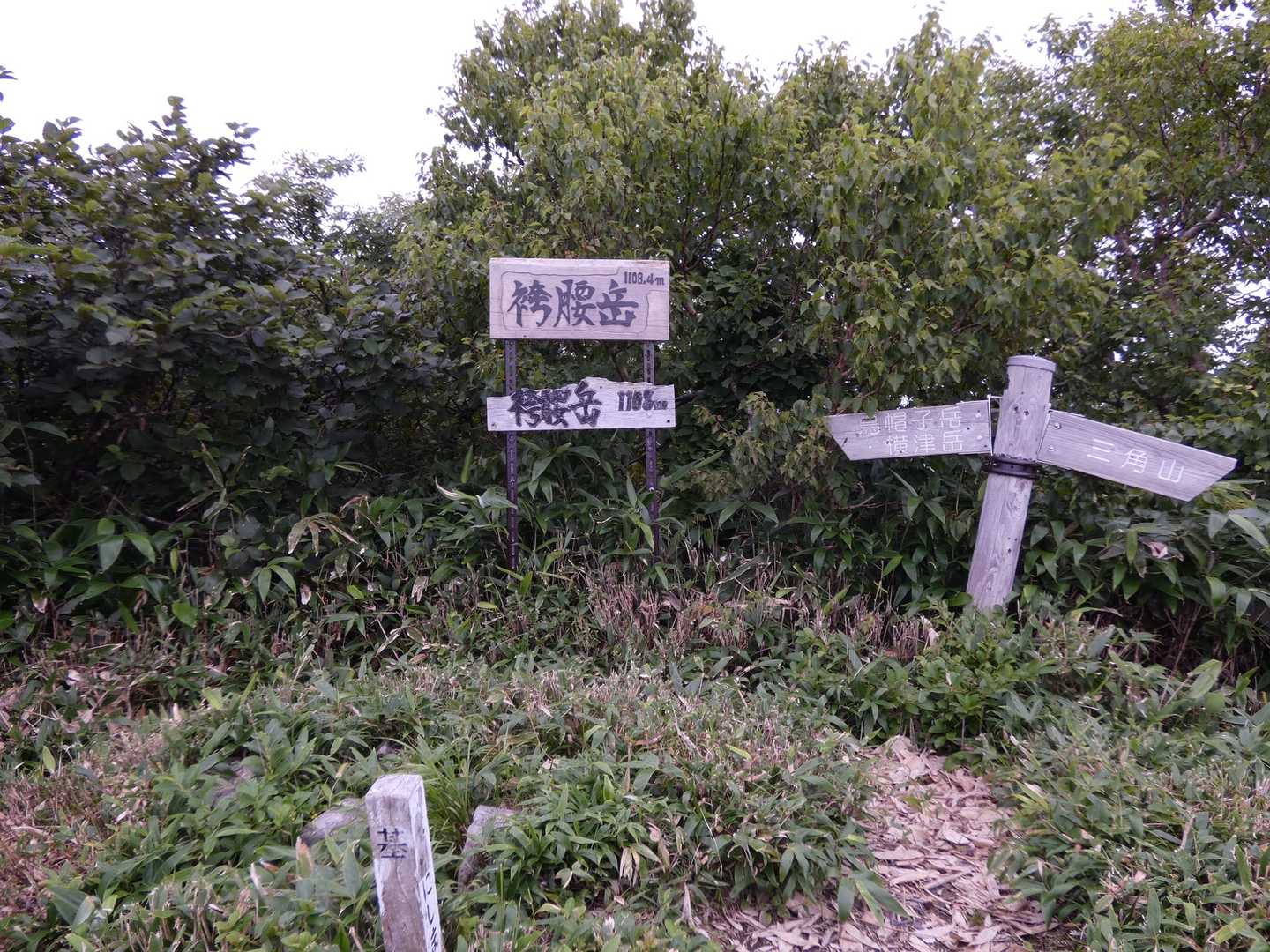 着きました