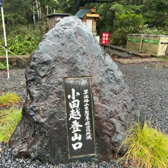 ここが小田越登山口