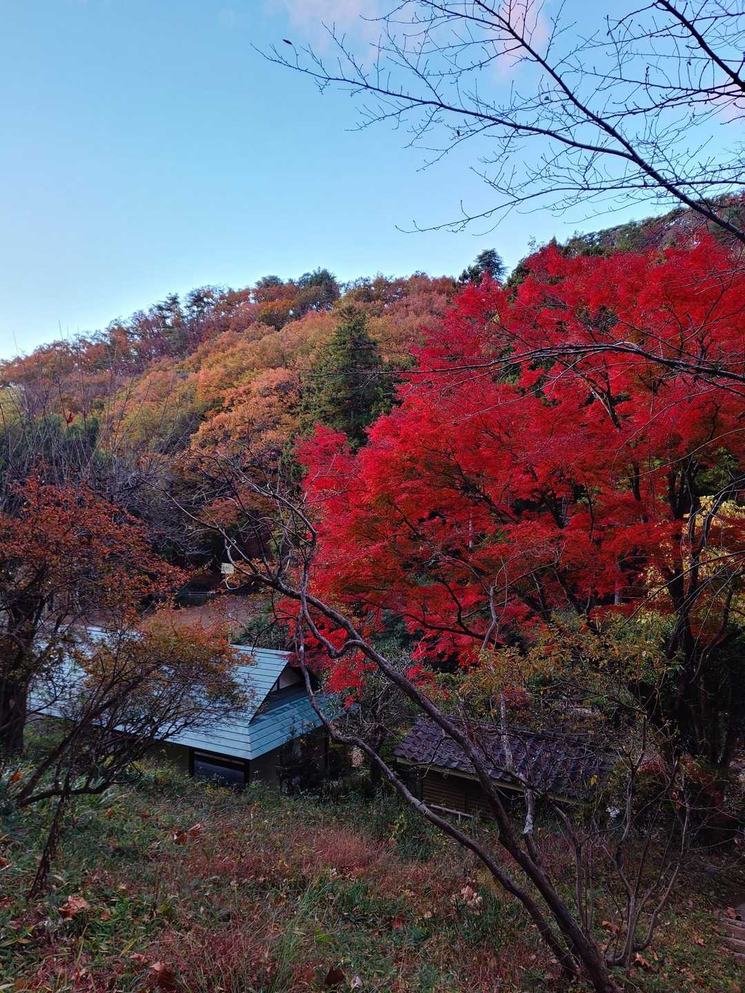 吾妻公園駐車場-吾妻山 往復コースの写真