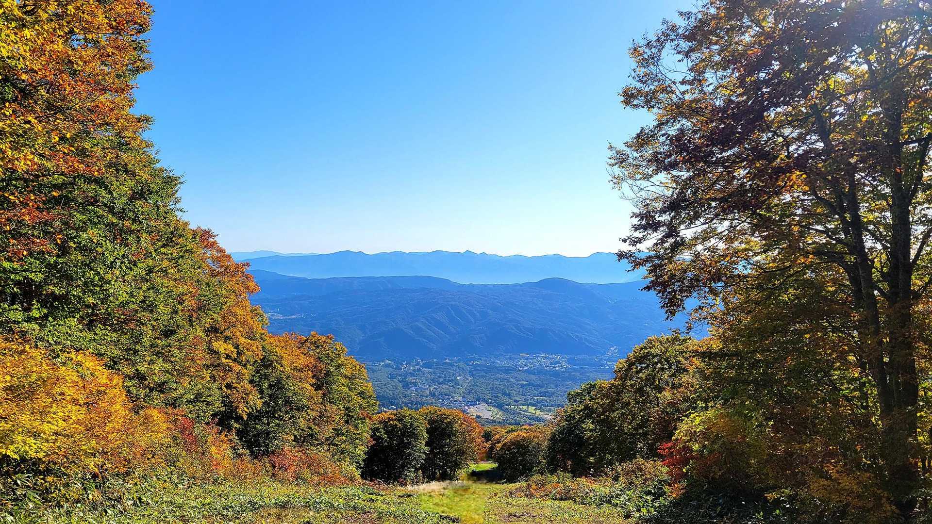 振り返って