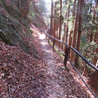 落葉サクサク。鋼製手摺に守られた安心の道