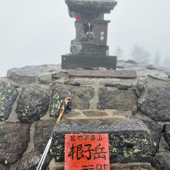 根子岳到着
雨風強くなってきました