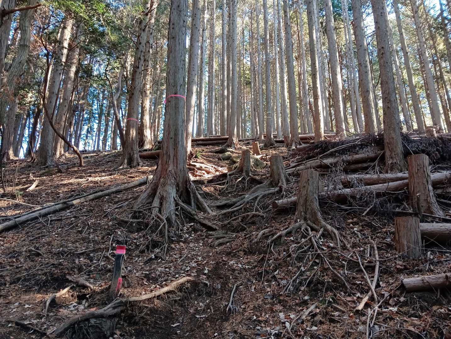 まだ登り炮烙山山頂へ😰🚶