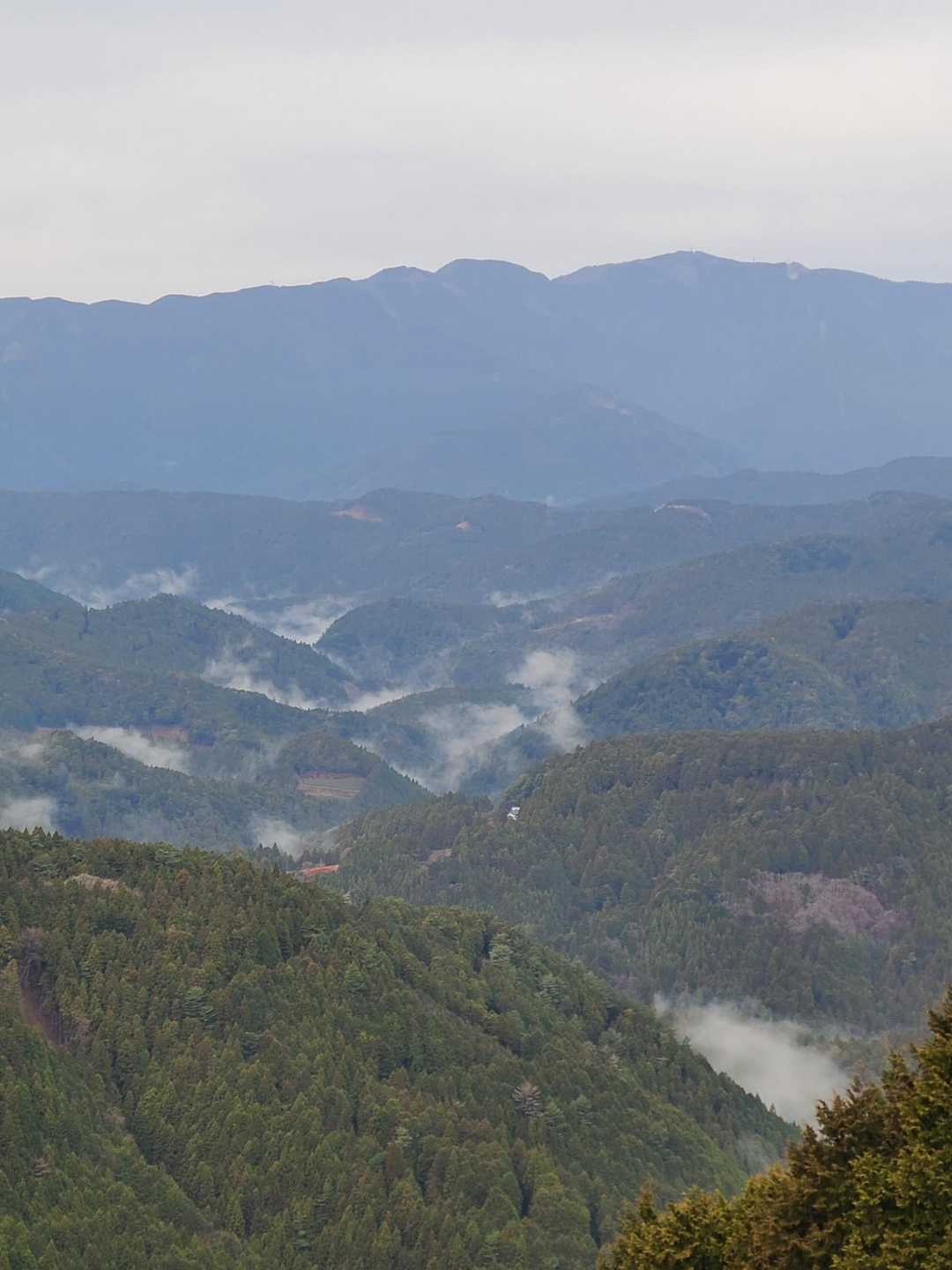 春埜山-鳥居沢山 周回コースの写真