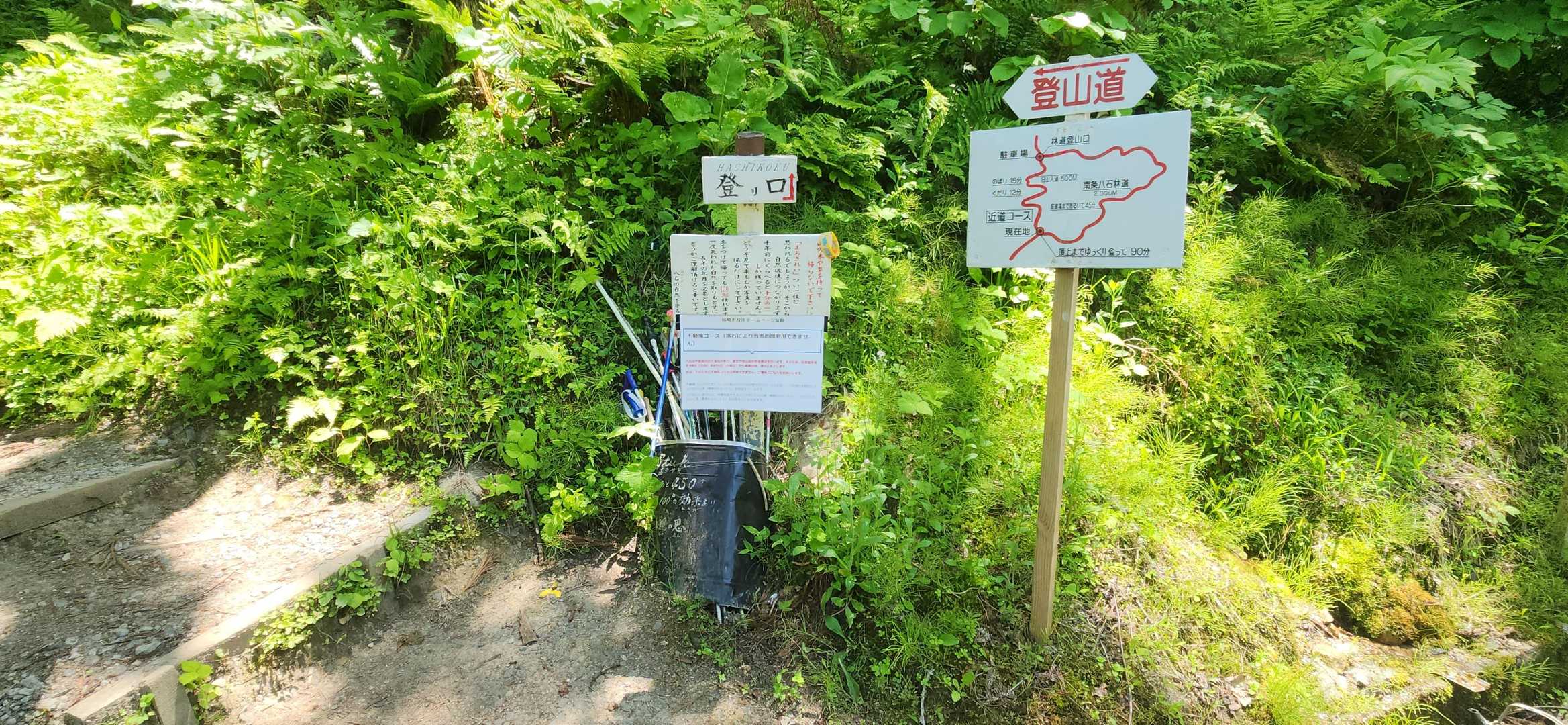 林道登山口-南条八石山 往復コースの写真