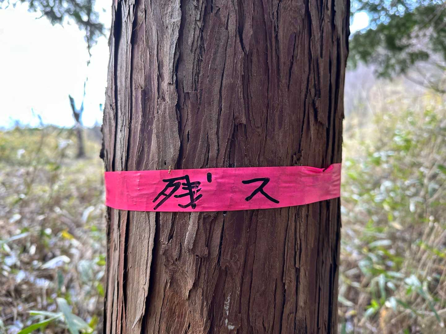 勝ち組🤣www
