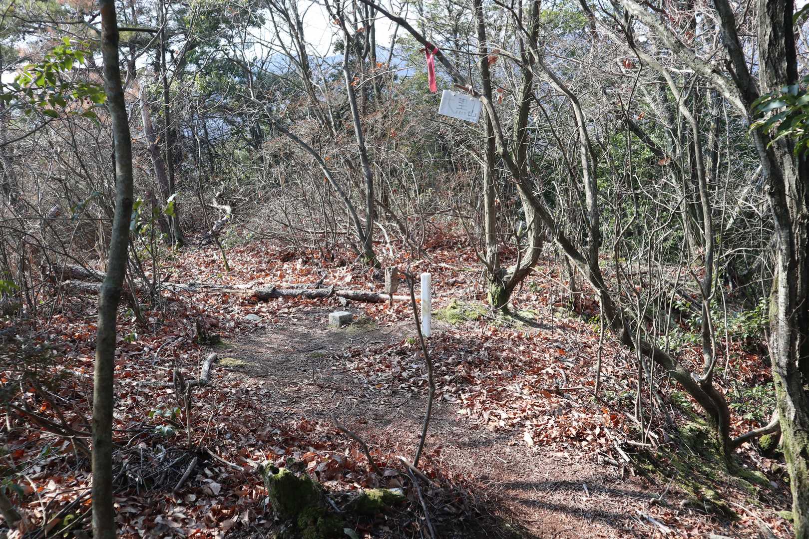 大黒山ピーク到着