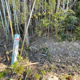 武士（もののふ）自然歩道