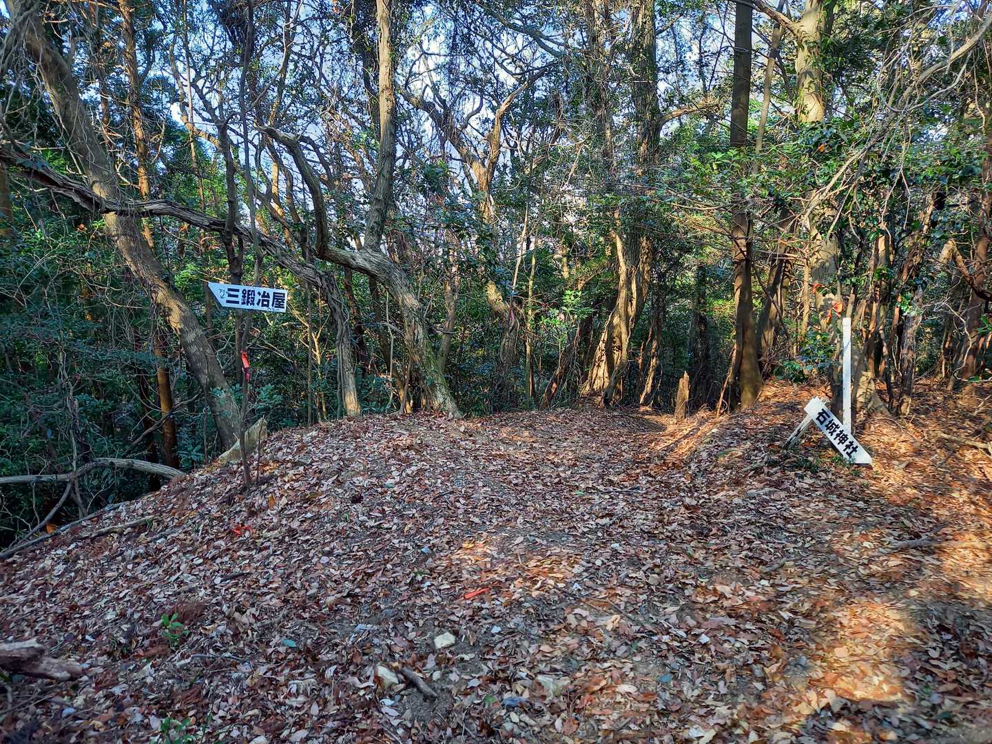 登山道合流地点