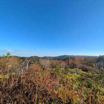 下山は、先程山頂であったお兄さんと途中まで下山しました。
私よりお兄さんだから、おじいちゃんかな(笑)