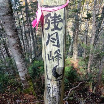1091残月峰到着
折れた立木にマジック書きの山頂標識
ちなみにここはYAMAPのランドマークではありません
左下へ少し下るとあるので行きます