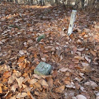 落ち葉に埋もれた三角点