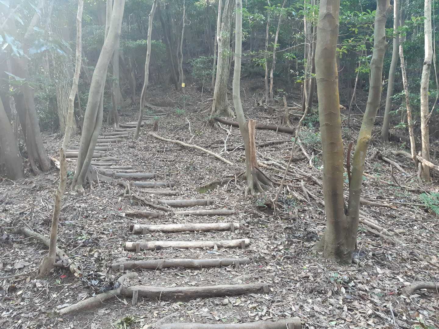 下りはなかなかハード💦