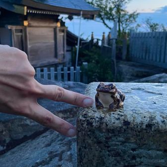 女体山山頂に到着🐸✌️🥳