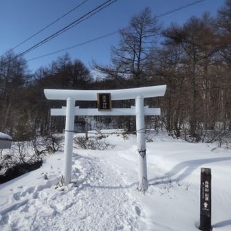 おかわりで初めての高峰山に行ってみます✨