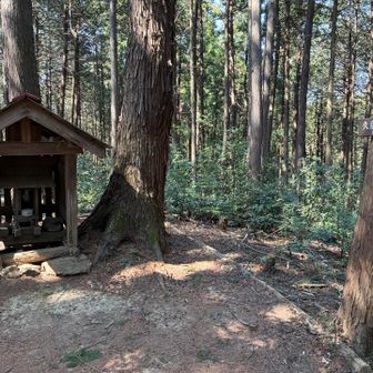 先ほどの久須美ケルンが派手だった割には久須美山は地味