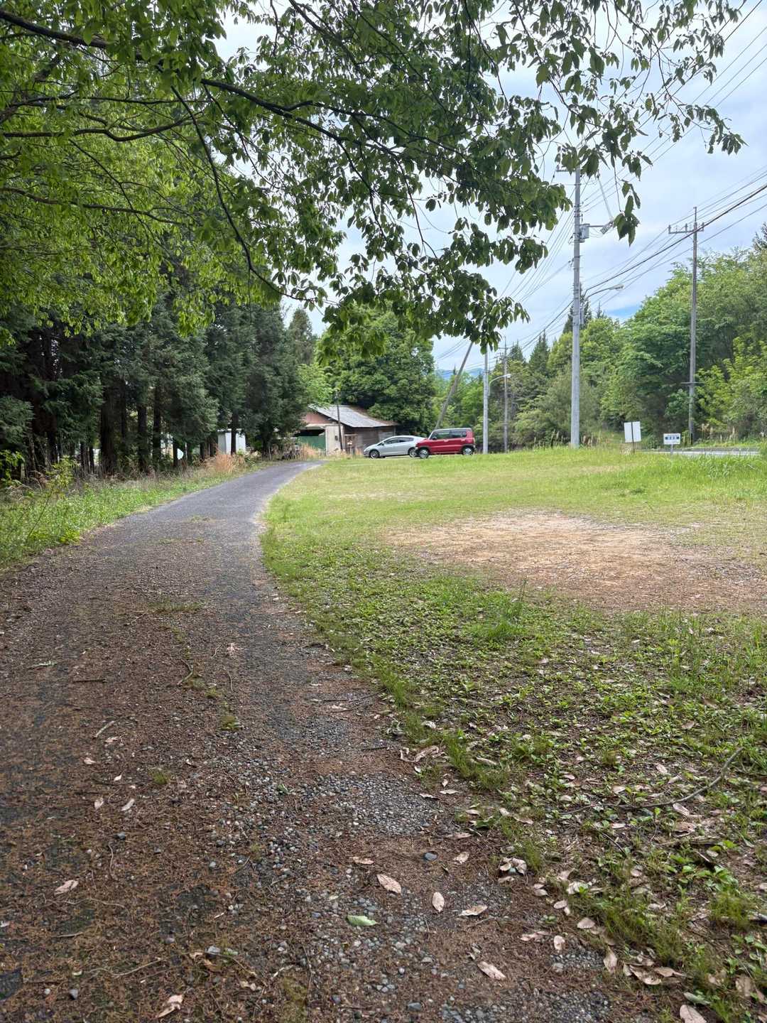 ただいま🚗
カラスがカーカー🐦‍⬛いっぱい飛んでました。

歩きやすいお山ですが、
看板🐍🐝⚠️に脅かされるので、少し物音がするだけでもビビりました…(;꒪ꈊ꒪;)
