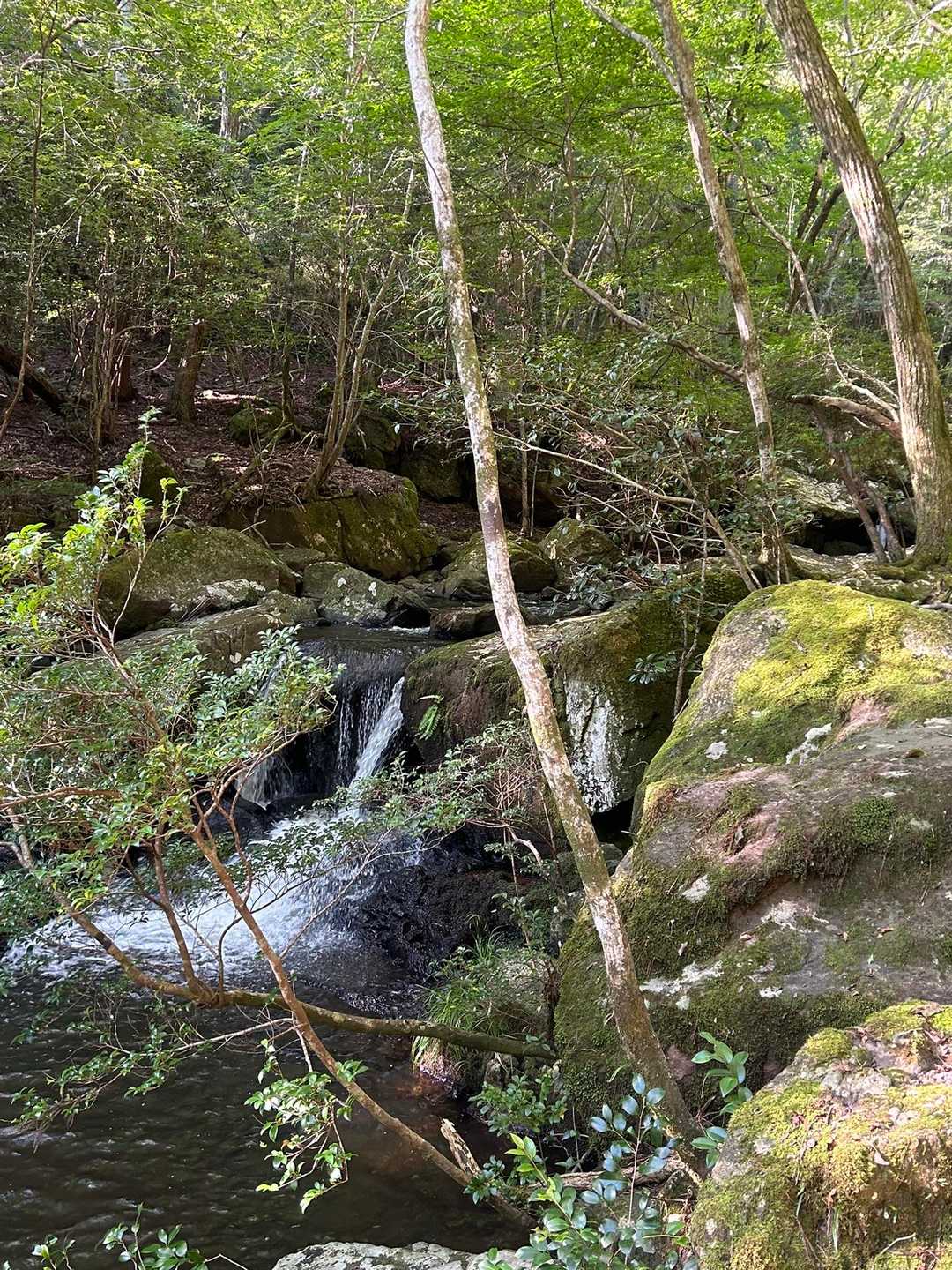 【るり渓】清らかな水の流れと岩や淵が織りなす豊かな景観の写真