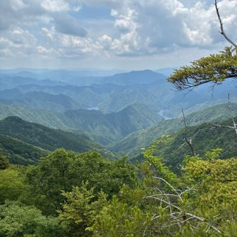 やっと風通しの良い場所に出た。気持ちええ